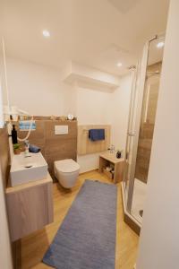 a bathroom with a toilet and a sink and a shower at Ferienhaus Schöne Aussicht Ferienwohnung Blau in Hemfurth-Edersee