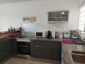 Kuchnia lub aneks kuchenny w obiekcie SPACIEUX T3 VUE MER