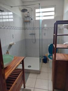 La salle de bains est pourvue d'une douche, d'un lavabo et de toilettes. dans l'établissement SPACIEUX T3 VUE MER, à Les Trois-Îlets