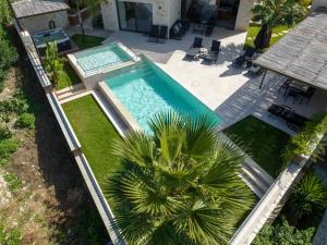 an overhead view of a swimming pool with a palm tree at Almi-Cove Hilltop Villas in Almyrida