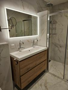 La salle de bains est pourvue d'un lavabo et d'une douche avec un miroir. dans l'établissement Duin-Vliet, à Bentveld