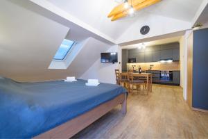 Kuchyň nebo kuchyňský kout v ubytování Apartmán na Hůrce