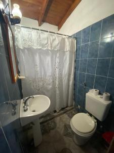 uma casa de banho com um WC e um lavatório com uma cortina de chuveiro em Cerro Chico em Villa Cura Brochero