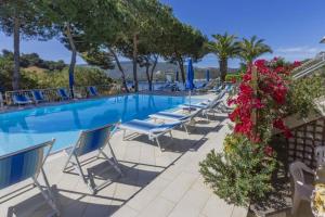 a swimming pool with lounge chairs and flowers at Il Porto 25 Mansarda sul Mare - Goelba in Porto Azzurro