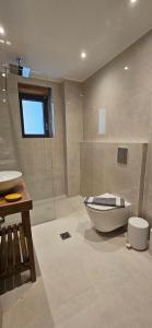 a bathroom with a toilet and a sink at Miltilon in Synikia Mesi Trikalon