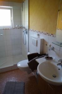 ein Bad mit einem WC, einem Waschbecken und einer Dusche in der Unterkunft Ferienwohnung Weingarten in Piesport