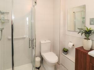 a white bathroom with a toilet and a shower at Victoria House in Belford +35 photos