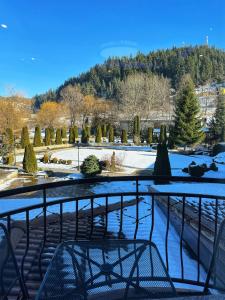 vista su un giardino con neve sul terreno di Hotel Diamant a Dospat