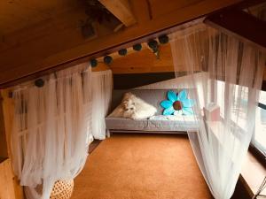 a cat sleeping in a bunk bed in a room at De Rietnymf in Munnekeburen