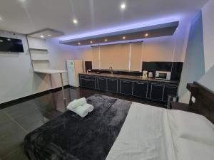 eine große Küche mit einem Bett und einem Waschbecken in der Unterkunft Suite La Posta in San Salvador de Jujuy