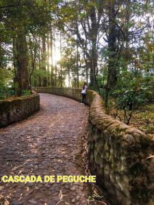 a woman walking down a stone path in a forest at Casa Apartamento Campestre en las Faldas del Tayta Imbabura in San Juan de Ilumán +13 photos
