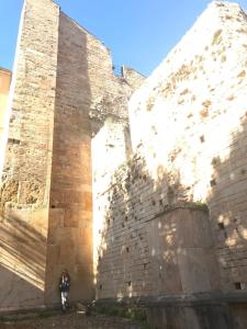 een persoon die naast een grote bakstenen muur staat bij Barabans Tower Cluny Abbay in Cluny