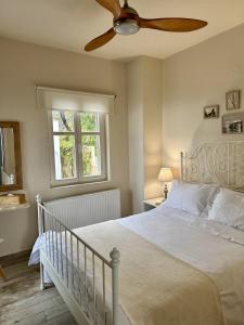 1 dormitorio con 1 cama y ventilador de techo en Luxury Villa at Pelion- Ruby, en Zagora