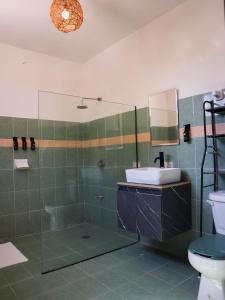 uma casa de banho com um chuveiro, um lavatório e um WC. em Casa Mate BeachFront HOUSES El Cuyo em El Cuyo