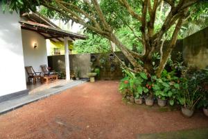 eine Terrasse mit einem Baum und einem Haufen Pflanzen in der Unterkunft Sanjee Villa Hikkaduwa in Hikkaduwa