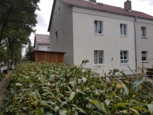 a large bush in front of a house at Ferienhaus Wohnen unter Freunden in Arnstadt
