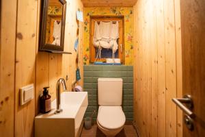 a small bathroom with a toilet and a sink at Chalet Frederik in Fontanella