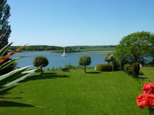 a park with a river and a sailboat in the distance at Fischreiher 2 in Kappeln +9 photos