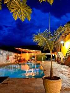 a palm tree in a pot next to a swimming pool at night at Pousada Sunflower in Pirenópolis