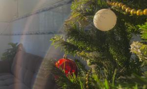 Ấp Lợi Ðủ的住宿－ARYE guest house，红饰的圣诞树