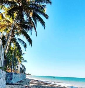 un groupe de palmiers sur une plage avec l'océan dans l'établissement Casa para temporada, à Porto Seguro