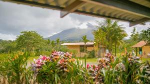 a view of a mountain from a house with flowers at Wellness Park CR in Fortuna