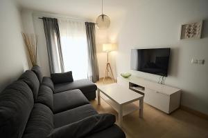 a living room with a couch and a tv at Apartamento Málaga Centro in Málaga