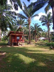 a small house in a field with palm trees at Som PalmGarden in Ko Lanta