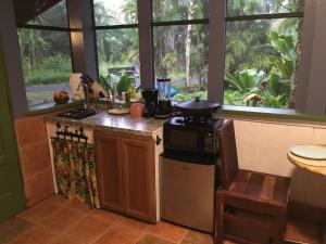 a kitchen with a stove and a window at The Hawaii Red House Apartment Private in Keaau
