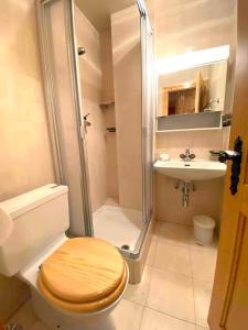 a bathroom with a shower and a toilet and a sink at Verbier centre, 2 chambres proche de tout. in Verbier