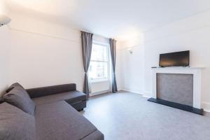 a living room with a couch and a fireplace at Luxury 2 Bedroom Flat in Balcombe Street in London