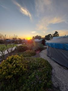 a sunset over a garden with tents and flowers at Sea of Galilee - Genghis Khan in The Golan in Giv'at Yo'av