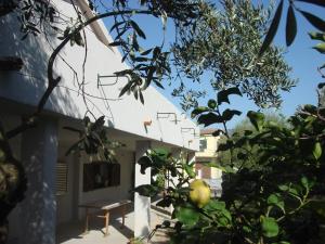 Una casa blanca con un árbol delante. en Grazia Deledda, en Galtellì