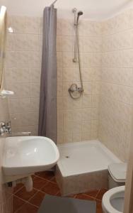 W łazience znajduje się prysznic, umywalka i toaleta. w obiekcie AGRO obiekt hotelowy we Wrocławiu