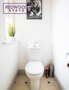 baño con aseo blanco con una foto en la pared en Modern 1 Bed 1 Bath Apartment for Corporates & Contractors, FREE Parking, Wi-Fi & Netflix By REDWOOD STAYS, en Farnborough