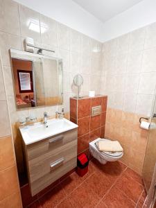 uma casa de banho com um lavatório, um WC e um espelho. em Malom Panzió em Kiskunfélegyháza
