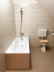 a bathroom with a sink and a toilet at Malom Panzió in Kiskunfélegyháza