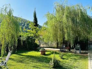 a yard with a weeping willow tree and two chairs at Green House in Kvareli