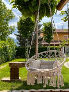 a white swing hanging from a tree in a yard at Casa Rurale Faraone in Teggiano