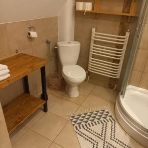 a bathroom with a toilet and a bath tub at Tu i Teraz - domek in Bukowina Tatrzańska
