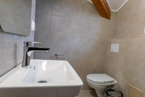a bathroom with a sink and a toilet at Vila Edelweiss in Predeal