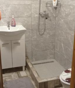 bagno con doccia, lavandino e servizi igienici di Planinski Mir a Pale