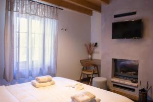 TV a/nebo společenská místnost v ubytování Μikri Arktos Boutique Hotel
