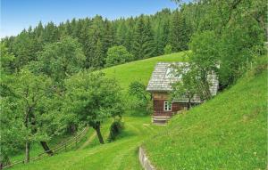 Příroda nedaleko prázdninového domu + 6 fotografií
