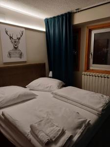 - une chambre avec 2 lits et une fenêtre dans l'établissement Dea Diana, à Passo del Tonale