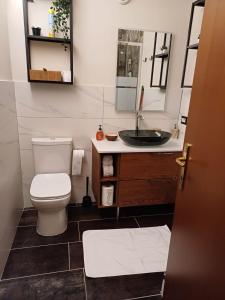 ein Bad mit einem WC und einem Waschbecken in der Unterkunft Dea Diana in Passo del Tonale