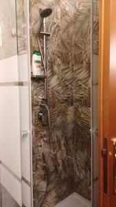 La salle de bains est pourvue d'une douche avec une porte en verre. dans l'établissement Dea Diana, à Passo del Tonale