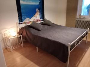 1 cama con 2 almohadas en una habitación en Relax Appartement, en Bad Radkersburg