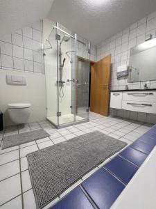 a bathroom with a shower and a toilet at Rheinview Urbar Haus in Urbar