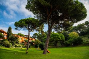 a park with a tree and a swing at Albamar Apartaments in Lloret de Mar